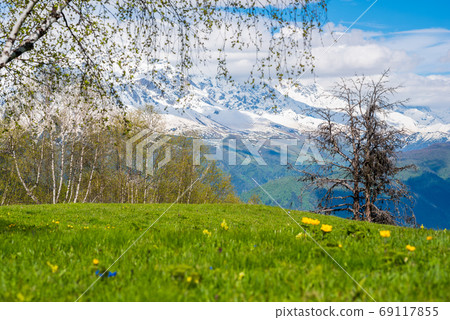 Blossoming green meadow in mountains. Hatsvali, Svaneti, Georgia. The Caucasus landscape Blossoming green meadow in mountains. Hatsvali, Svaneti, Georgia. The Caucasus landscape 69117855