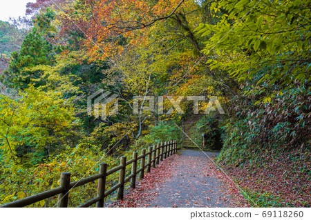 Taishakukyo國家紀念碑的秋葉 Taishakukyo國家紀念碑的秋葉 69118260