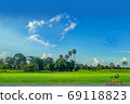 The countryside, green paddy rice field with beautiful sky cloud in upcountry Thailand. 69118823