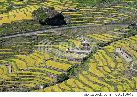Maruyama Senmaida at the time of rice harvesting 69119642