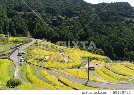Maruyama Senmaida at the time of rice harvesting 69119732