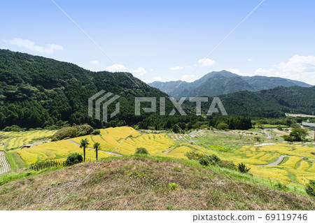 Maruyama Senmaida at the time of rice harvesting Maruyama Senmaida at the time of rice harvesting 69119746