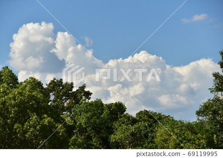 Cumulonimbus growing in the blue sky over the forest Cumulonimbus growing in the blue sky over the forest 69119995
