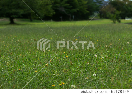 Tottori Four Seasons Walk Autumn Qingdao Tottori Four Seasons Walk Autumn Qingdao 69120199
