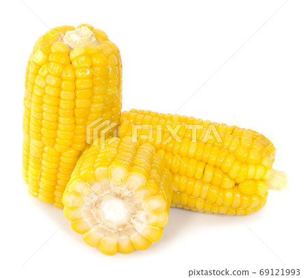 ears of Sweet corn an isolated on white background 69121993