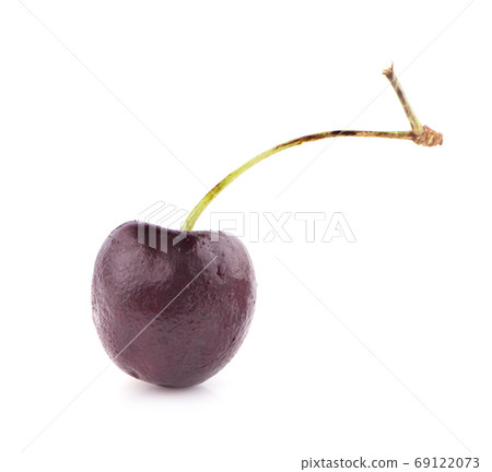 One cherry an isolated on white background One cherry an isolated on white background 69122073