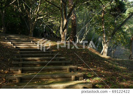 Tottori Four Seasons Walk Autumn Qingdao 69122422