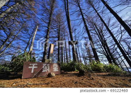 奇祖茲山山峰標誌和森林地區 奇祖茲山山峰標誌和森林地區 69122460