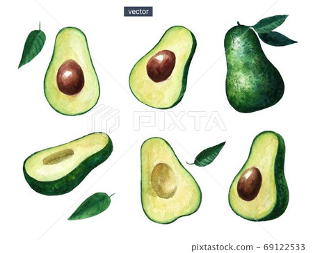 Vector watercolor set of ripe avocado isolated on white background. Half slices of tropical exotic fruits. Vector watercolor set of ripe avocado isolated on white background. Half slices of tropical exotic fruits. 69122533