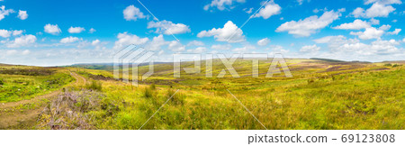 Fields of heather in Scotland Fields of heather in Scotland 69123808