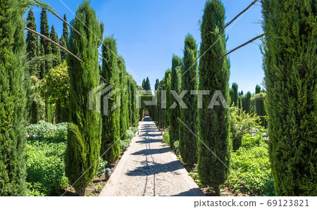 Gardens in Alhambra palace in Granada 69123821