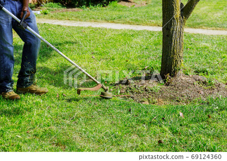 A lawn mower mows fresh, green grass on the lawn A lawn mower mows fresh, green grass on the lawn 69124360