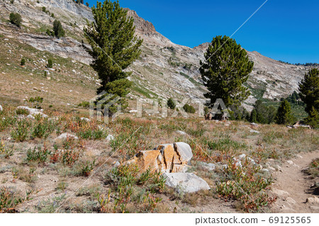 Morning view of the beautiful landscape around the Ruby Crest Tr 69125565