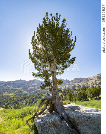 Morning view of the beautiful landscape around the Ruby Crest Tr 69125627