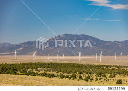 Sunny view of many windmill in a rural area 69125699