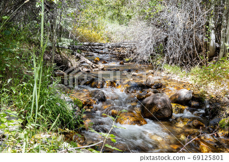 Beautiful landscape along the Grey Cliffs Trail 69125801