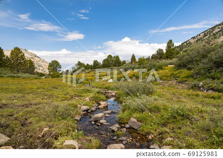 Morning view of the beautiful landscape around the Favre Lake tr Morning view of the beautiful landscape around the Favre Lake tr 69125981