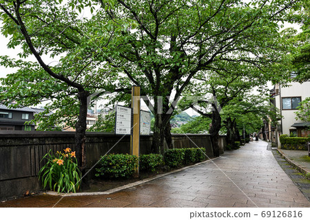 Summer in the main town of Chaya 69126816