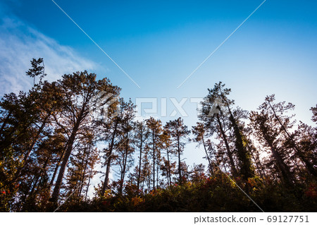 Blue sky Blue sky 69127751