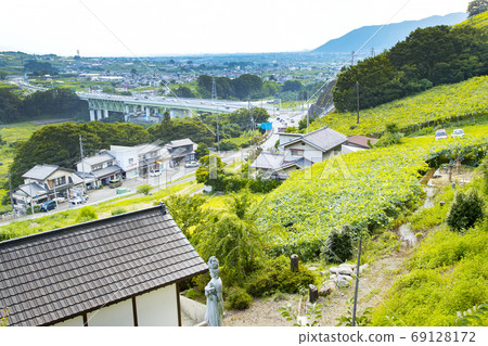從藥師堂的側面看到的第一大禪寺勝沼鎮和葡萄園禪寺 69128172