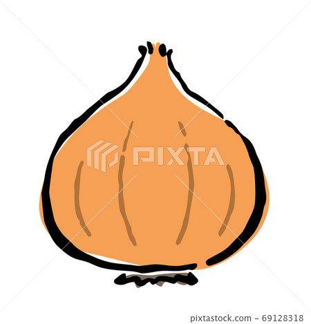 Illustration of Onion 69128318