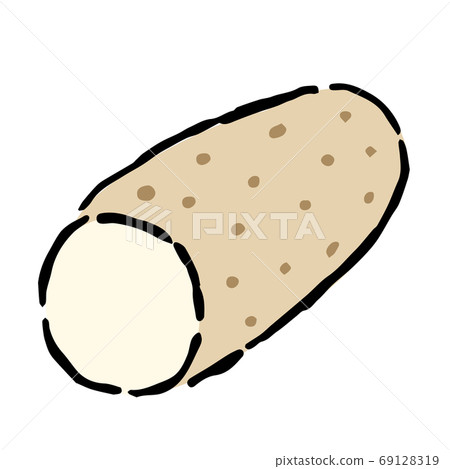 Illustration of Chinese yam Illustration of Chinese yam 69128319
