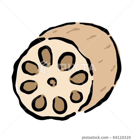 Lotus root Lotus root 69128320