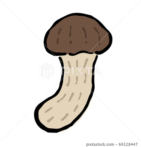 Illustration of Matsutake mushroom Illustration of Matsutake mushroom 69128447
