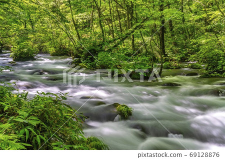 Summer Oirase Keiryu Sanran no Ie Towada City, Aomori Prefecture 69128876