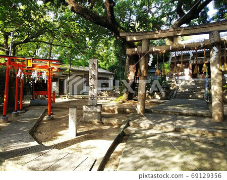 靖國神社的鳥居大門和久保之木的大樹 建在前後墓室的古墓部分 左邊是稻荷大社的紅色鳥居門 照片素材 圖片 圖庫