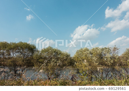 Riverside in summer Riverside in summer 69129561