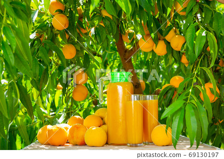 Peach juice and fresh yellow fruits on plantation Peach juice and fresh yellow fruits on plantation 69130197