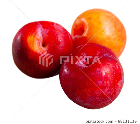 Fresh red plums Fresh red plums 69131139