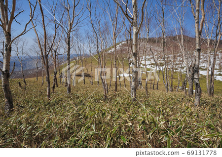 奧日光(Oku-Nikko)是從丘山寺中禪寺湖南脊的中點延伸的平坦土地。 奧日光(Oku-Nikko)是從丘山寺中禪寺湖南脊的中點延伸的平坦土地。 69131778