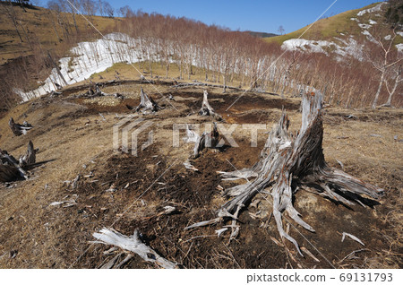 在中禪寺湖南海岸的中禪寺湖1792m嶺附近的奧庫尼克湖山脊 在中禪寺湖南海岸的中禪寺湖1792m嶺附近的奧庫尼克湖山脊 69131793