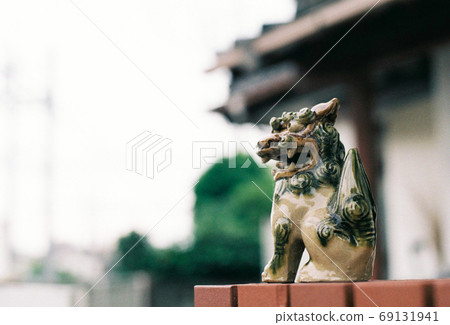 我的妻子是Uchinanchu,沖繩的Shisa保護著我的房子! 我的妻子是Uchinanchu,沖繩的Shisa保護著我的房子! 69131941