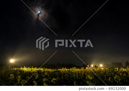 向日葵村點亮 69132000