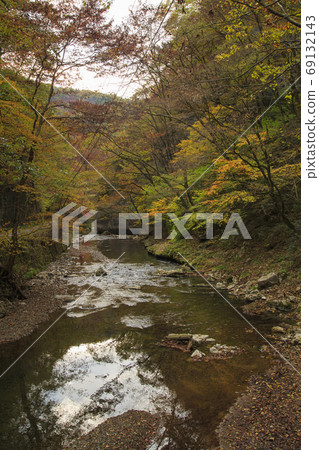 Taishakukyo國家歷史文物的秋葉 Taishakukyo國家歷史文物的秋葉 69132143