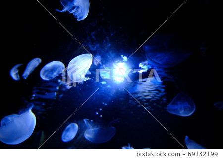 A floating jellyfish and a light 69132199