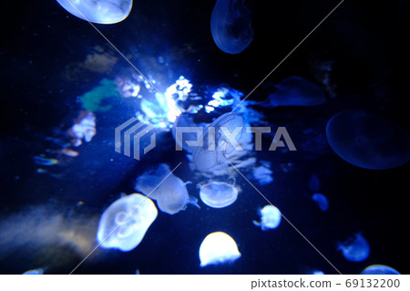 A floating jellyfish and a light 69132200
