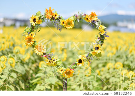 Sunflower village Sunflower village 69132246
