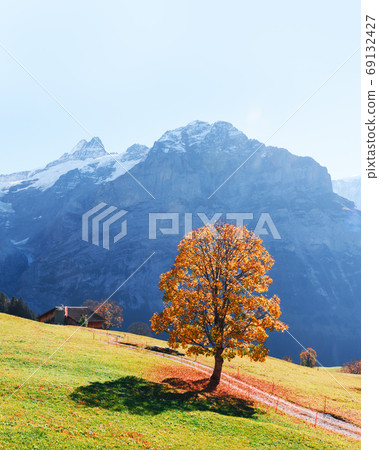 Picturesque autumn landscape in Grindelwald village 69132427