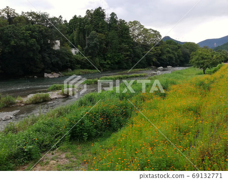 秋葉川,東京的鄉村 秋葉川,東京的鄉村 69132771