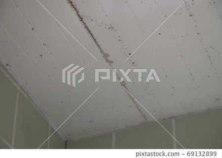 浴室天花板上的黴菌 69132899