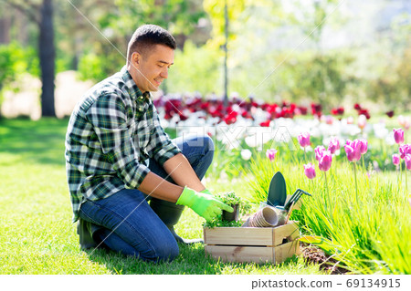 middle-aged man with tools in box at summer garden middle-aged man with tools in box at summer garden 69134915