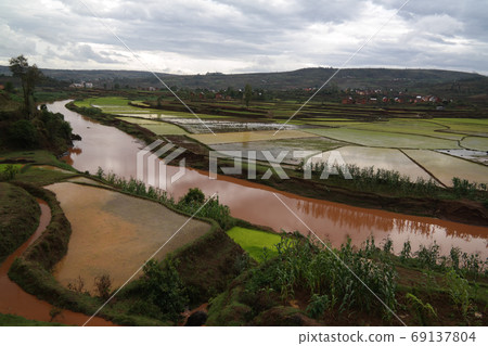 Landscape with the rice fields and Onive river at Antanifotsy,Madagascar Landscape with the rice fields and Onive river at Antanifotsy,Madagascar 69137804