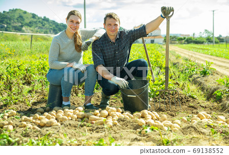 Family of horticulturists during harvesting potatoes in field Family of horticulturists during harvesting potatoes in field 69138552