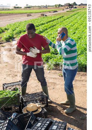 Latin American farmer calling health professional for african worker Latin American farmer calling health professional for african worker 69138743