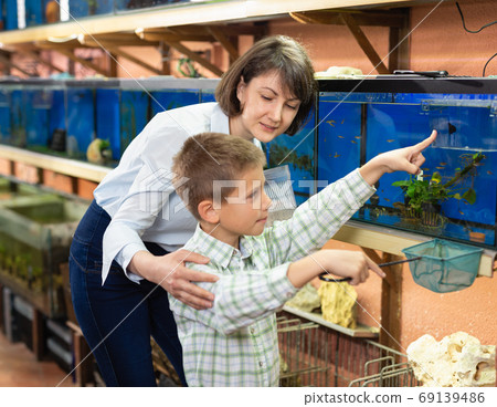 Woman with son looking for aquarium fishes Woman with son looking for aquarium fishes 69139486
