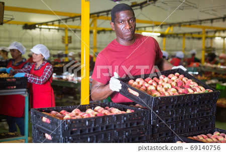 Man working at fruit storage carrying box Man working at fruit storage carrying box 69140756